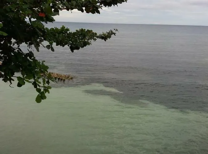 Sascha's Resort Oslob