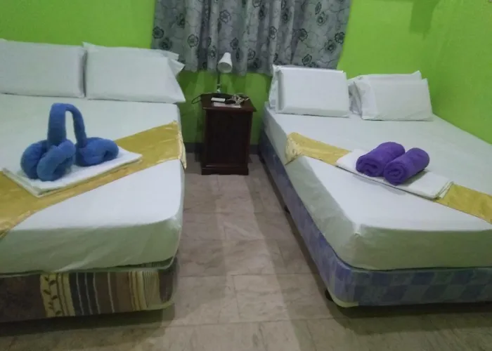 Sascha's Resort 3*